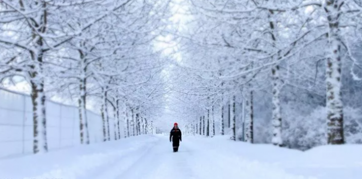 Berikut 3 mitos tentang salju yang mengejutkan /Pinterest