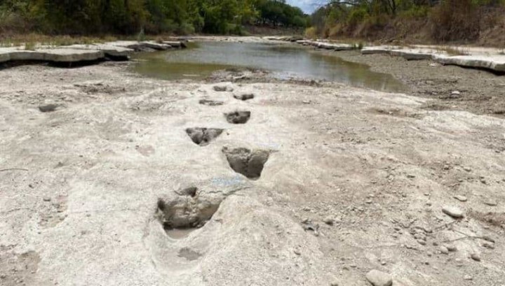 Kekeringan Parah Berhasil Mengungkap Jejak Dinosaurus Berusia 113 Juta Tahun di Taman Texas