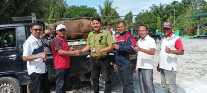Keterangan Foto : Tim Stakeholder Relation Pelalawan PT Riau Andalan Pulp and Paper (RAPP) menyerahkan bantuan hewan kurban kepada masyarakat Pelalawan.