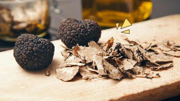 Penampakan Jamur Truffle yang Dibandrol Dengan Harga Mulai Dari 35 Juta per Setengah Kilogram (Orami)