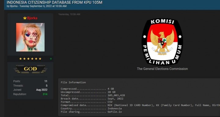 Hacker Bjorka yang meretas membongkar surat rahasia Presiden Jokowi termasuk dari BIN (CNNIndonesia)