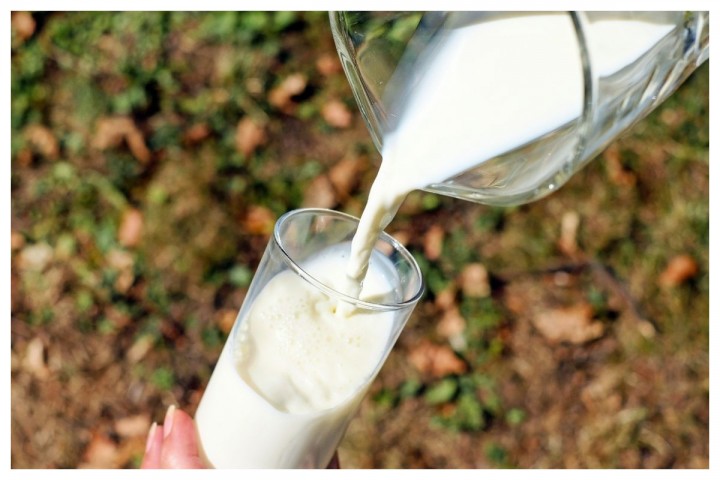India: Dari Negara Defisit Susu Menjadi Produsen Terbesar di Dunia