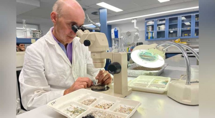 Studi terbaru menemukan bahwa mikroplastik telah memanjat rantai makanan melalui tumbuhan dan hewan /Reuters