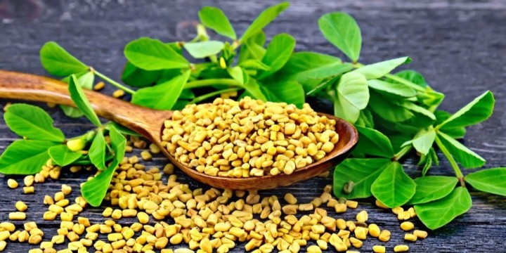 Fenugreek, salah satu rempah dan herba yang dapat menurunkan tekanan darah tinggi dan gula darah /sehatq.com