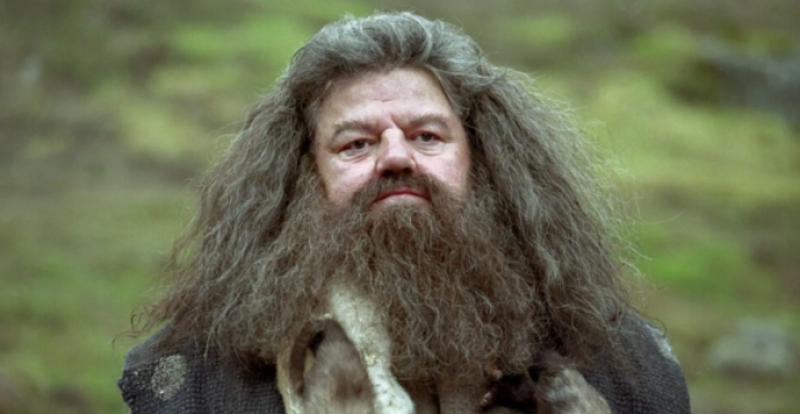 Pemeran Hagrid di Harry Potter, aktor Robbie Coltrane meninggal dunia di usia 72 tahun /Screen Rant