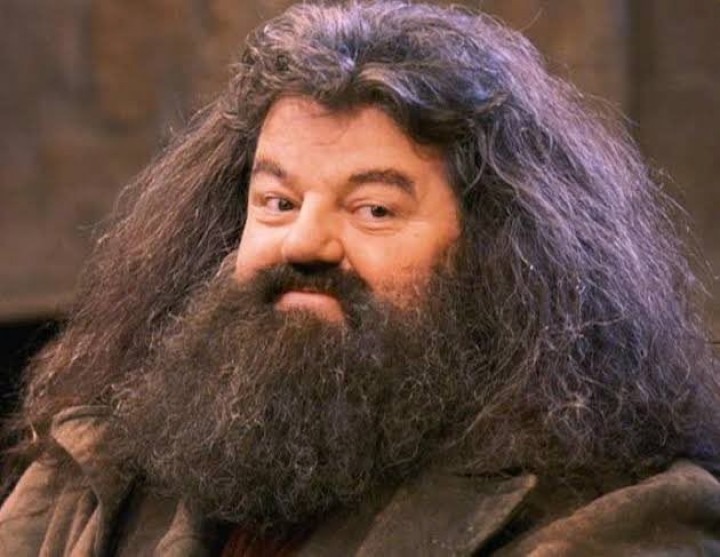 Robbie Coltrane, Pemeran Hagrid Dalam Film Harry Potter, Meninggal di Usia 72 Tahun