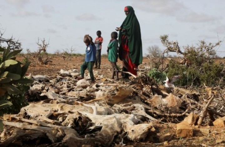 PBB Sebut Somalia Menghadapi Kelaparan Terburuk Dalam Setengah Abad