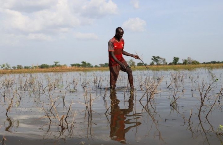 Banjir Deras Berdampak Pada Ketahanan Pangan di Afrika Barat dan Tengah
