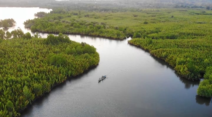  Muara Lakologou Baubau Digadang Mirip Sungai Amazon di AS