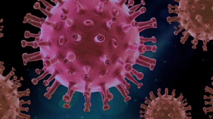 WHO Berupaya Mengidentifikasi Patogen yang Dapat Menyebabkan Pandemi di Masa Mendatang