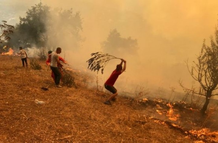 Pengadilan Aljazair Menghukum Mati Puluhan Orang Atas Kebakaran Hutan Tanpa Pengadilan
