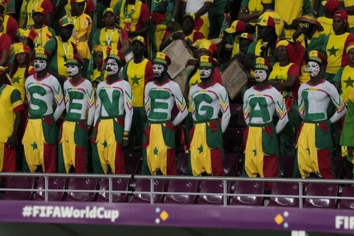 Penggemar aksi Timnas Senegal di Piala Dunia 2022 (c) AP Photo/Natacha Pisarenko