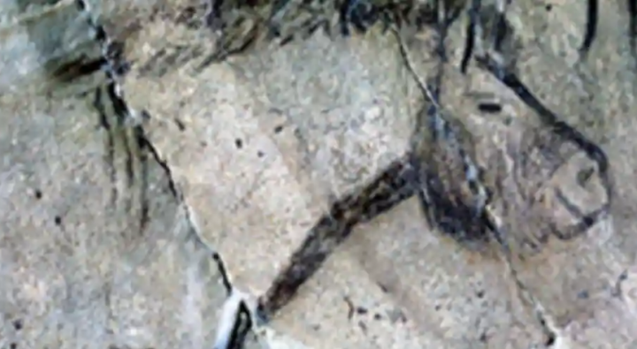Konservator furnitur pecahkan misteri gambar zaman es berusia 20.000 tahun /Twitter