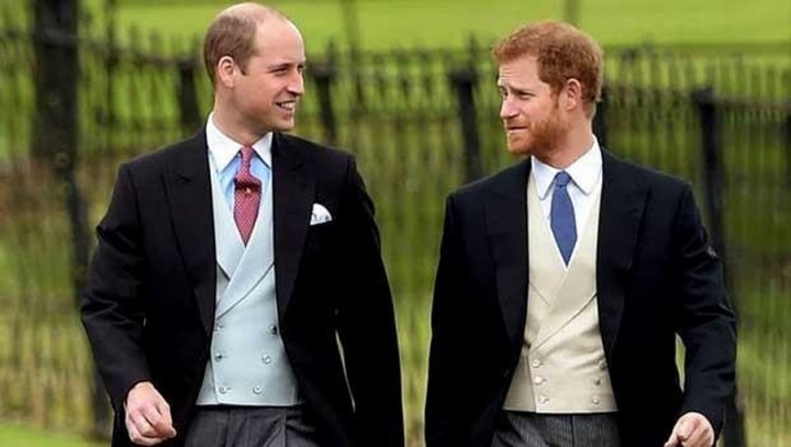 Harry sebut dirinya dilahirkan hanya untuk menjadi cadangan organ bagi Pangeran William /insertlive.com