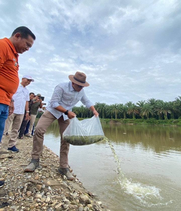 _Caption : CEO PTPN V, Jatmiko Santosa saat menebar bibit ikan secara simbolis ke sungai di sekitar pabrik kelapa sawit PTPN V. Penebaran bibit ikan itu merupakan program keberlanjutan PTPN V dalam menjaga dan meningkatkan kelestarian alam._
