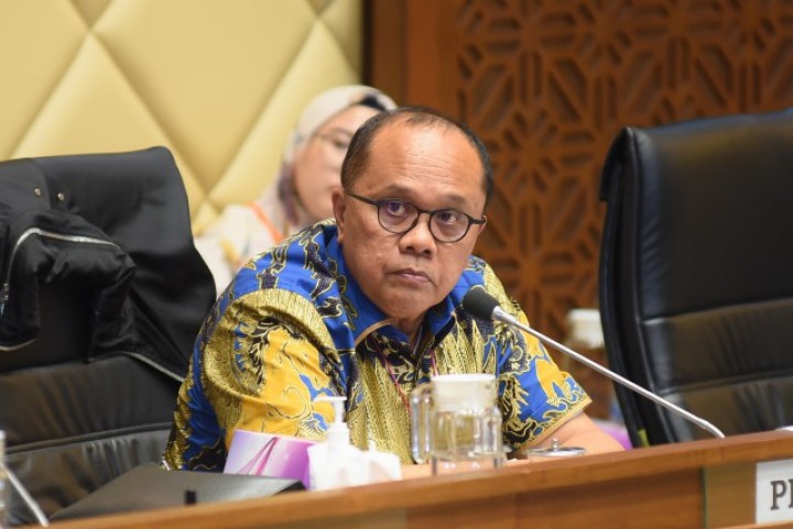 Wakil Ketua Komisi II DPR dari Fraksi PDIP Junimart Girsang. Sumber: Parlementaris Terkini
