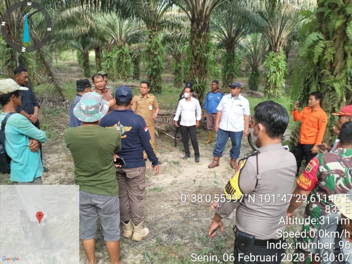 Caption: Tim PTPN V bersama dengan instansi terkait langsung meninjau lapangan guna memitigasi dugaan kemunculan harimau sumatera._