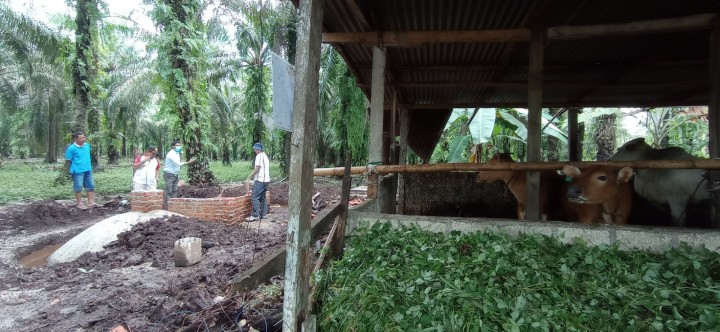 _Pembuatan reaktor biogas untuk kemandirian energi masyarakat di Desa Mukti Sari, Kecamatan Tapung, Kampar, Riau_