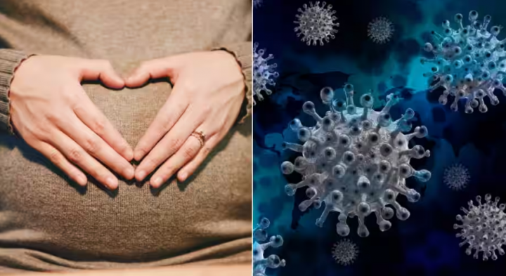 Studi terbaru mengungkapkan virus coronavirus sebabkan kerusakan otak pada dua bayi yang terinfeksi selama kehamilan /net