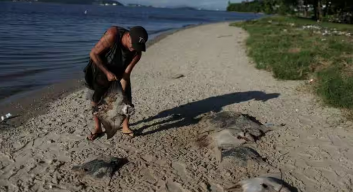 Seorang nelayan memegang ikan pari mati di Rio de Janeiro /Reuters