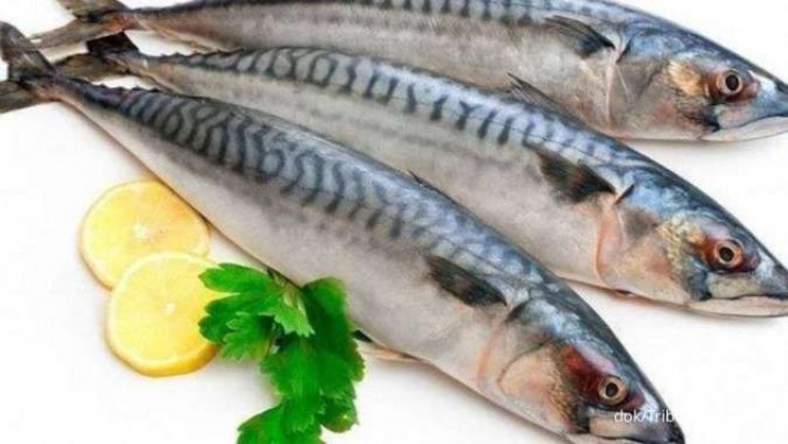 4 Manfaat Ikan Kembung yang Kaya Gizi 
