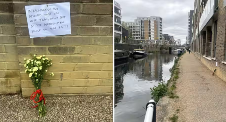 Gambar menunjukkan kanal di Limehouse, London timur, tempat insiden itu terjadi /@mattgraveling-Twitter