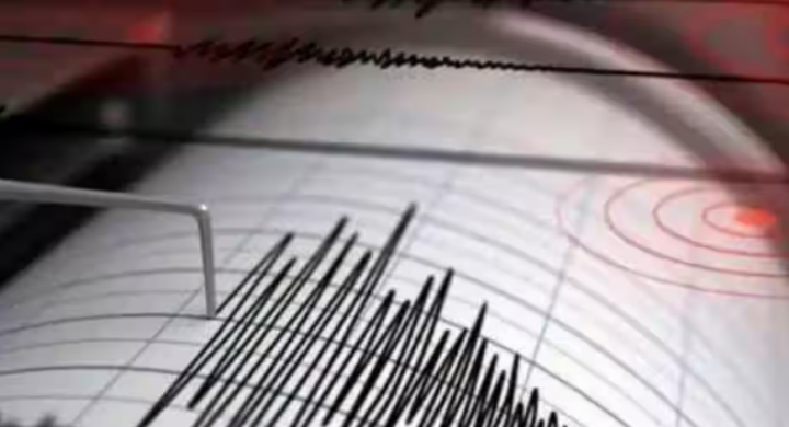 Ilustrasi getaran gempa yang tercatat alat seismograf /Reuters