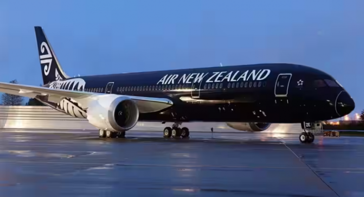 ir New Zealand mengatakan bahwa proses tersebut merupakan bagian dari survei berat penumpang untuk mengumpulkan data dunia nyata tentang beban berat dan distribusi pesawat /@FlyAirNZ-Twitter