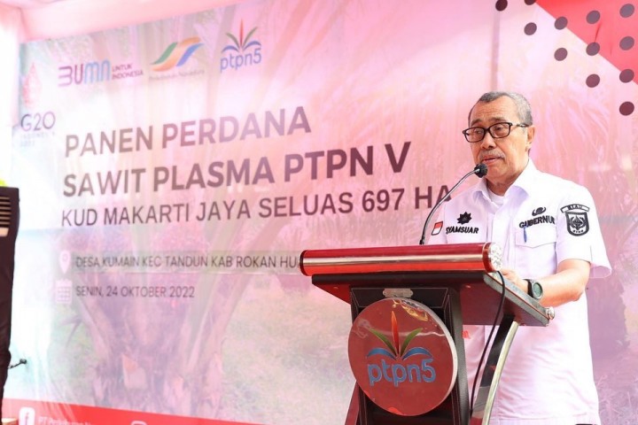 Caption : Gubernur Riau Syamsuar saat memberikan sambutan dalam panen perdana program peremajaan sawit PTPN V beberapa waktu lalu. PTPN V saat ini menjadi perusahaan perkebunan sawit dengan persentase kebun plasma terluas dibandingkan dengan perusahaan sawit lainnya yang beroperasi di Riau._