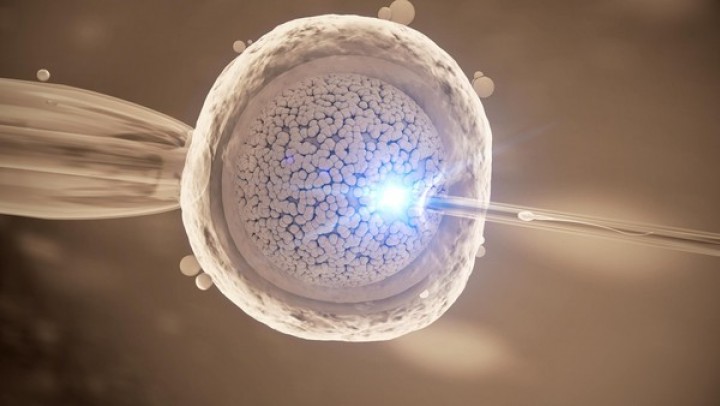 Tanpa Sel Telur dan Sperma, Peneliti Ciptakan Embrio Manusia Sintetis Pertama di Dunia