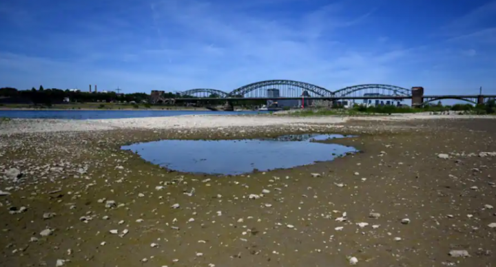 Dasar sungai Rhine yang kering di Cologne, Jerman /AFP