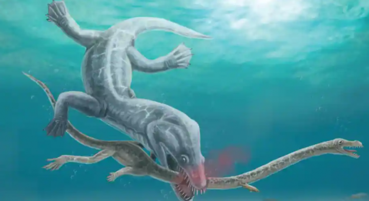 Kesan seniman tentang Tanystropheus hydroides yang lehernya digigit predator yang lebih besar /Reuters