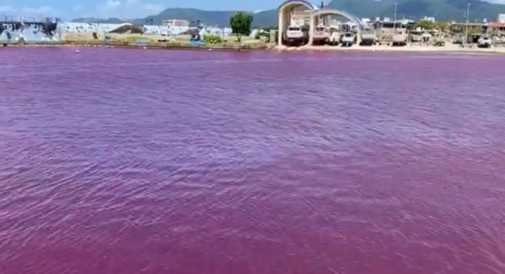 Pelabuhan Jepang berubah menjadi merah karena kebocoran pabrik bir /Twitter