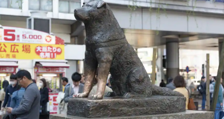 Sebuah patung Hachiko telah berdiri di luar stasiun Shibuya di Tokyo sejak tahun 1948 /net
