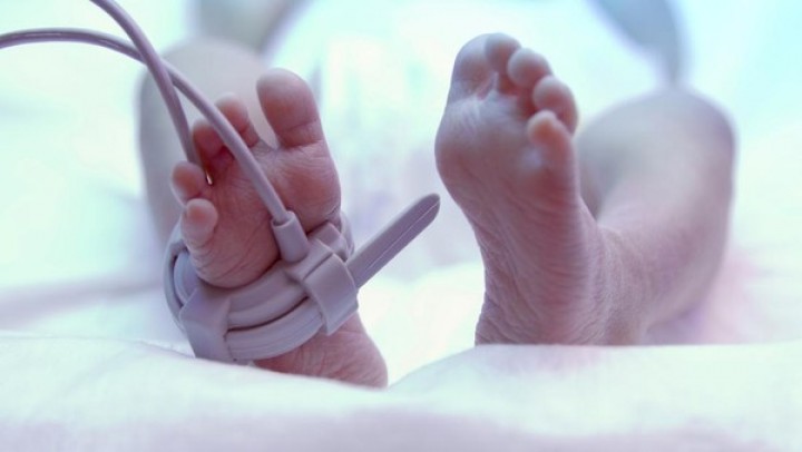 Alert! WHO Laporkan Puluhan Bayi Kena Virus Mematikan, Alami Gagal Organ