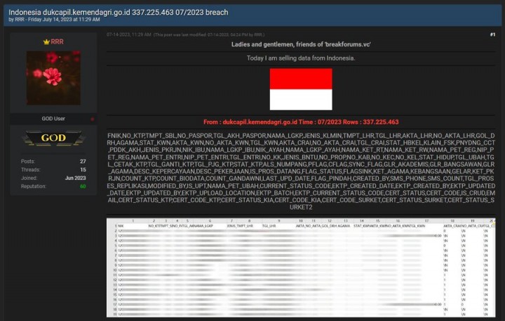 Waduh! 337 Juta Data Dukcapil Diduga Bocor dan Dijual Forum Hacker. (Twitter/@secgron/Foto)