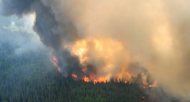 Api mencapai ke atas di sepanjang tepi api dekat Mistissini, Quebec, Kanada /Reuters
