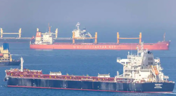 Kapal kargo Despina V, yang membawa biji-bijian Ukraina, terlihat di Laut Hitam lepas pantai Kilyos dekat Istanbul, Turki 2 November 2022 /Reuters