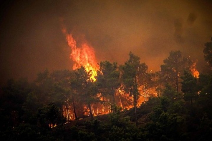 19.000 Warga dan Turis Dievakuasi akibat Kebakaran di Pulau Rhodes Yunani. (Medcom.id/Foto)