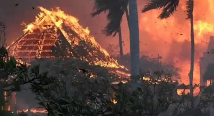 Penampakan kebakaran yang terjadi di Pulau Maui Hawaii /Twitter