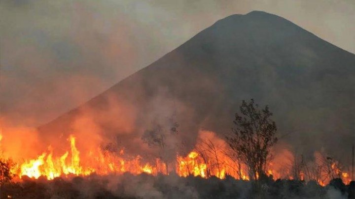 Kebakaran Hutan Gunung Bekel Hanguskan 15 Hektare Padang Ilalang. (Tribun/Foto)