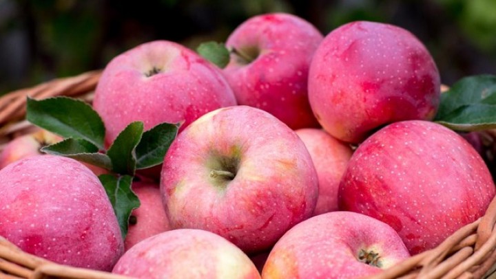 7 Manfaat Makan Apel Setiap Hari