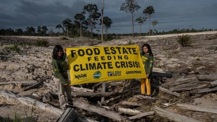 Gerindra Jawab Tuduhan soal Food Estate, Singgung Pengkritik Berbau Politik Para Parpol. (Greenpeace/Foto)