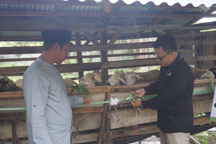 IZI Riau Launching Program Bina Ternak Domba dan Beasiswa Penghafal Qur’an Resmi di Launching