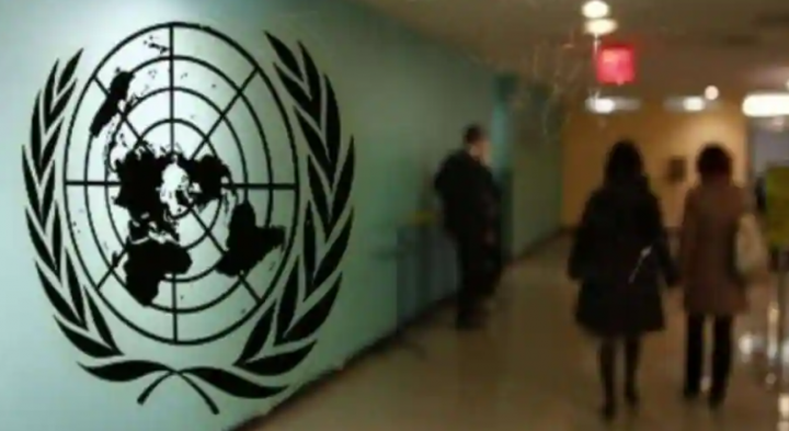 Rusia Veto Resolusi DK PBB terkait sanksi Mali /ANI