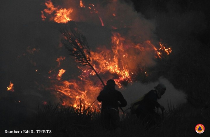 Kebakaran di Gunung Bromo Imbas Prewed, Api Merembet ke Kawasan Kabupaten Malang. (https://bpbd.probolinggokab.go.id/)