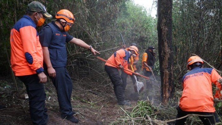 Kebakaran Gunugn Bromo Berhasil Dipadamkan usai 6 Hari Upaya Pemadaman, Imbas Flare Preweding. (BPBD Jatim/Foto)