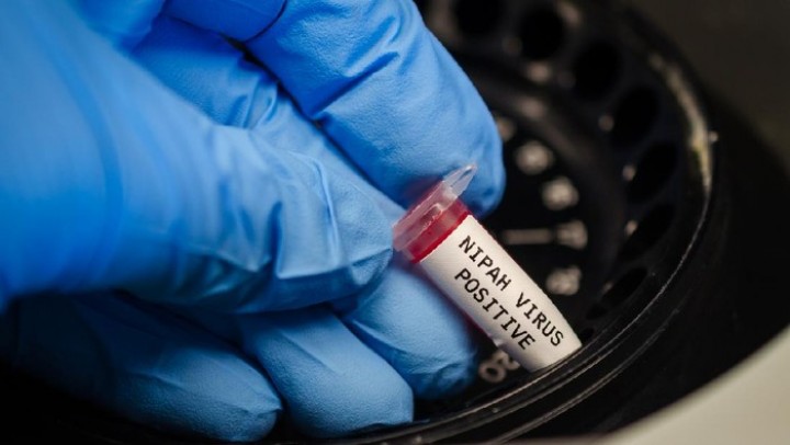 Sempat Bikin Geger, WHO Ungkap Fakta Baru Virus Nipah yang  Merebak di India   