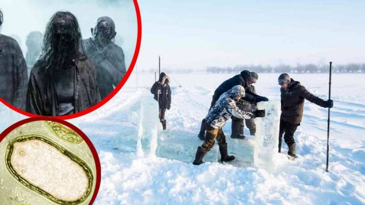 Rumor Virus 'Zombie' di Siberia Mencair, Ilmuwan Warning Pertanda Bencana Umat Manusia. (X/Foto)