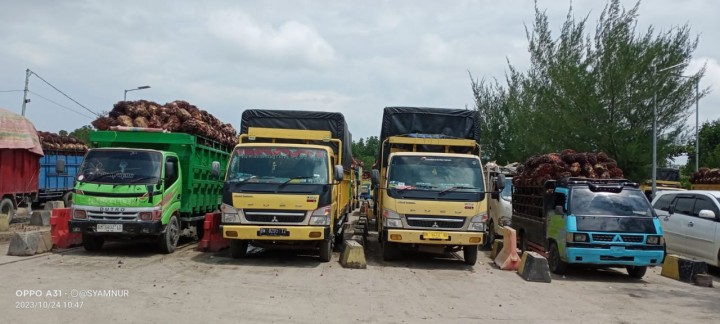 Truck bermuatan buah sawit yang mengantri di pelabuhan roro rupat Kelurahan Tanjung Kapal